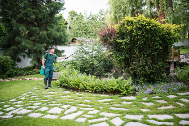 Bird Control in Kensington, CA
