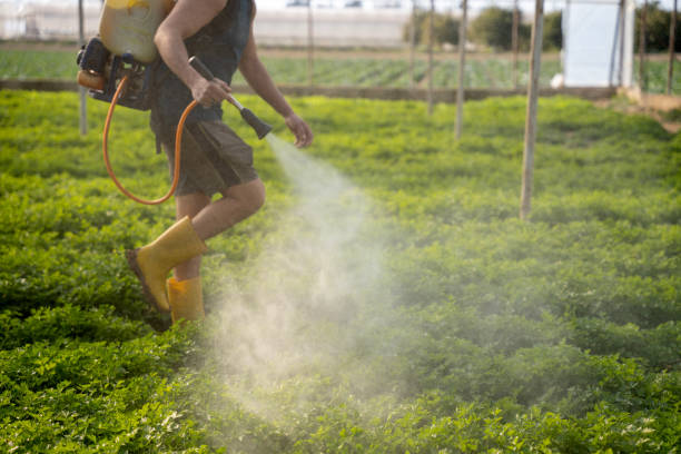 Professional Pest Control in Kensington, CA