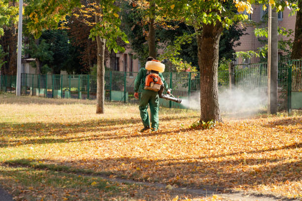 Best Bird Control  in Kensington, CA
